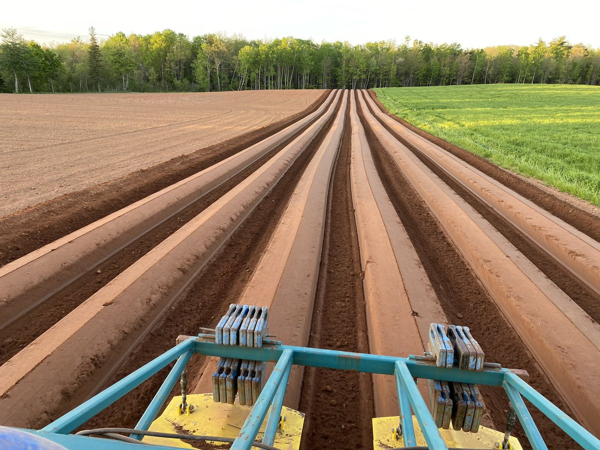 VHsweetpotatoes's tweet photo. Our slips are arriving soon so Phil is taking advantage of this beautiful evening to make sure all our equipment is calibrated and ready to go to get the sweet potato beds formed.  #CdnAg https://t.co/TedThloGs9