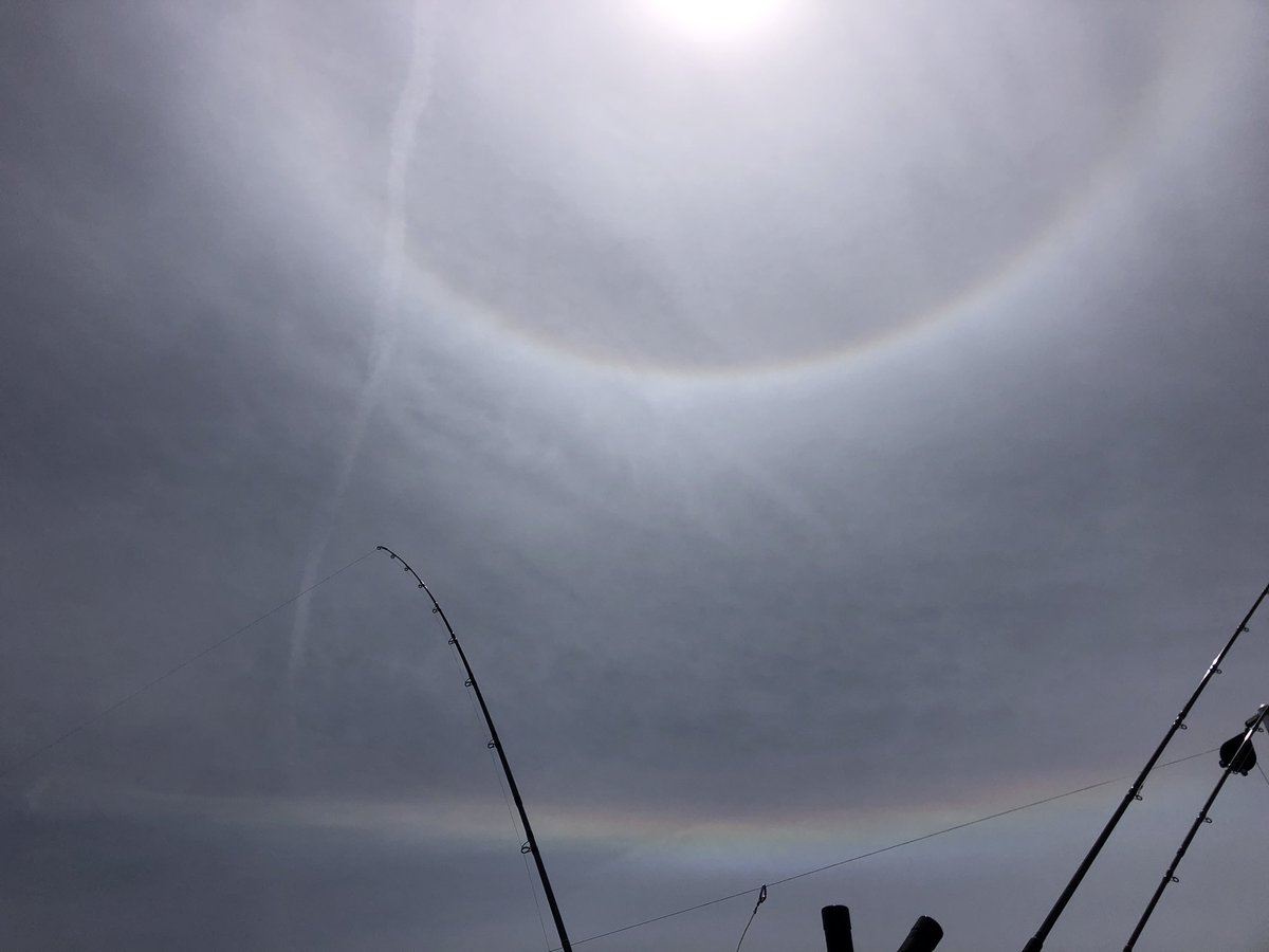 ReelColdFront's tweet image. The day after 120km winds pushed through Ontario. A lower circumzenithal arc and sundog hung around overhead of Lake Ontario @StormHourMedia #ONStorm #lakeontario #toronto