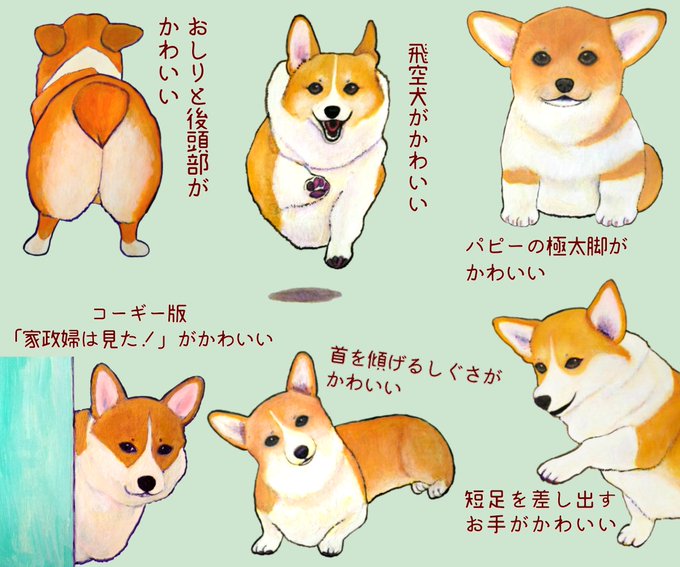 コーギー のイラスト マンガ作品 件 Twoucan