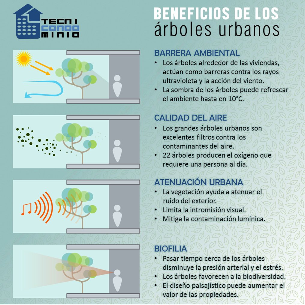 A cuidar las áreas verdes del condominio y en particular los árboles allí presentes.

Si supiera que el mundo
se acaba mañana,
yo, hoy todavía
plantaría un árbol
— M. Luther King

#Administración
#Mantenimiento
#Condominios
#Barquisimeto