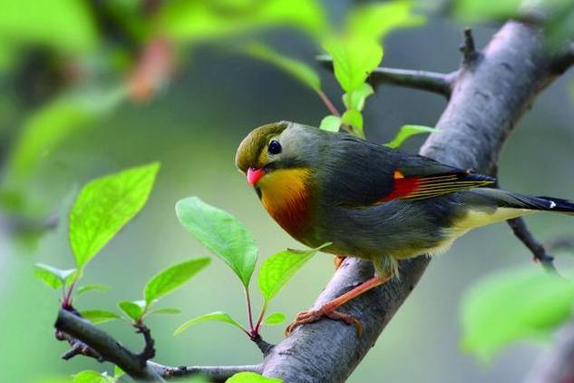 mtmsoft's tweet image. Don’t compare your life with others. There’s no comparison between the sun and the moon.