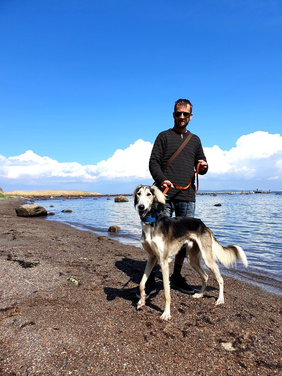 WTirith's tweet image. 