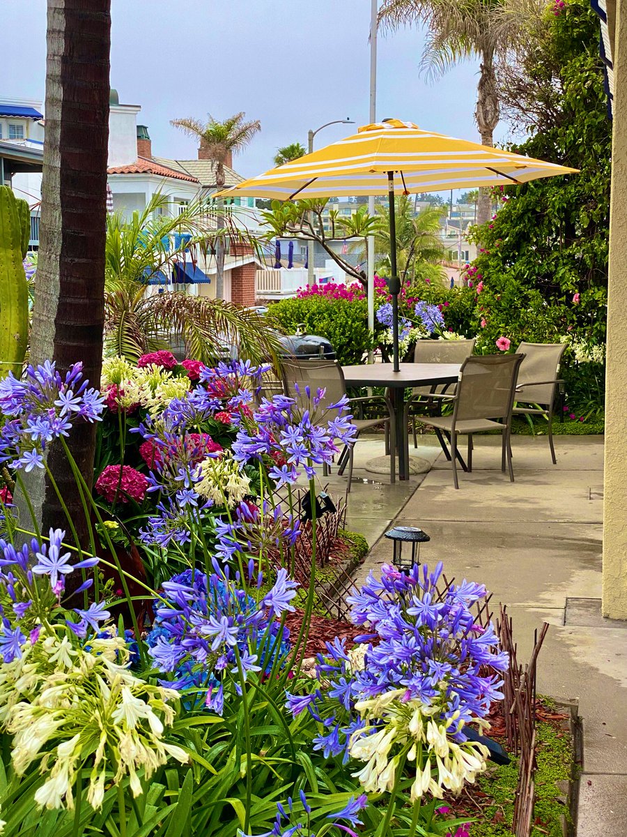 <a href="/NPBeachHouse/">Beach House Rental / Newport Beach, California</a> Rental!!
This gorgeous, oversized beach house is located steps from the sand... Interested in short term rentals or family vacations?

Simply go to:
NPBeachHouse@gmail.com

#CA #NewportBeach #VacationRental  #Beach #Beautiful #Trending #bikini #Surfing #Lifestyle