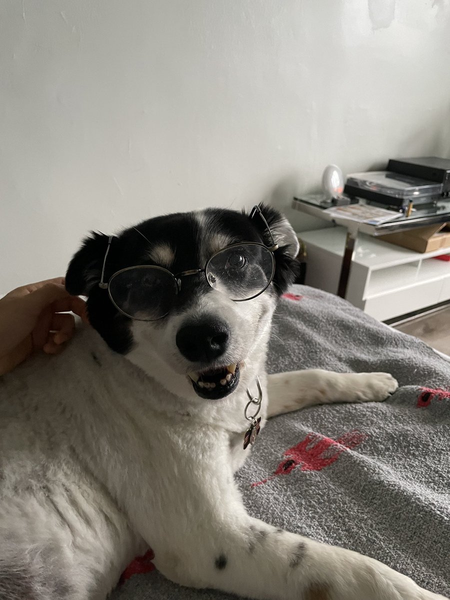 ♥alex♥ (@peltzie) on Twitter photo 