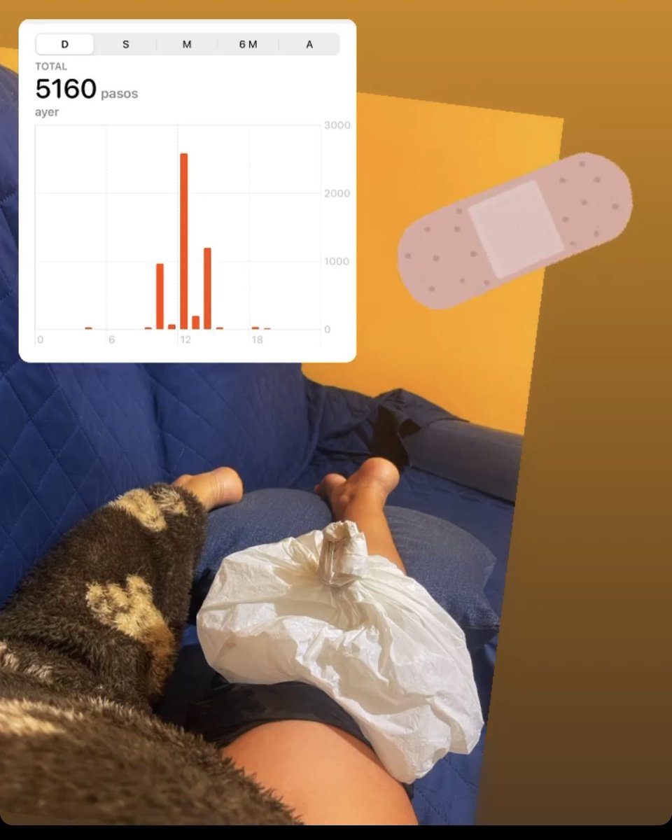 katiamartin86's tweet photo. Cuando el Fisio te manda no caminar para recuperarte de la lesión de rodilla #MondayMood #reposo #quistedebaker #cansada #tired #mondayfinish👌 https://t.co/AnYBDkfd9A