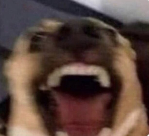 Cuando llegas a tu casa y tu perro y tú se ven: