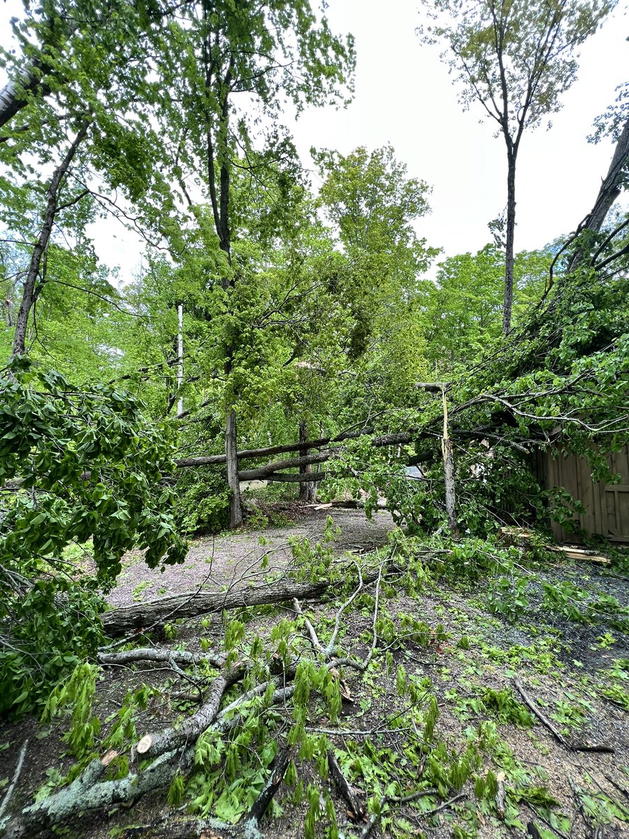 Liam Portt tweet media