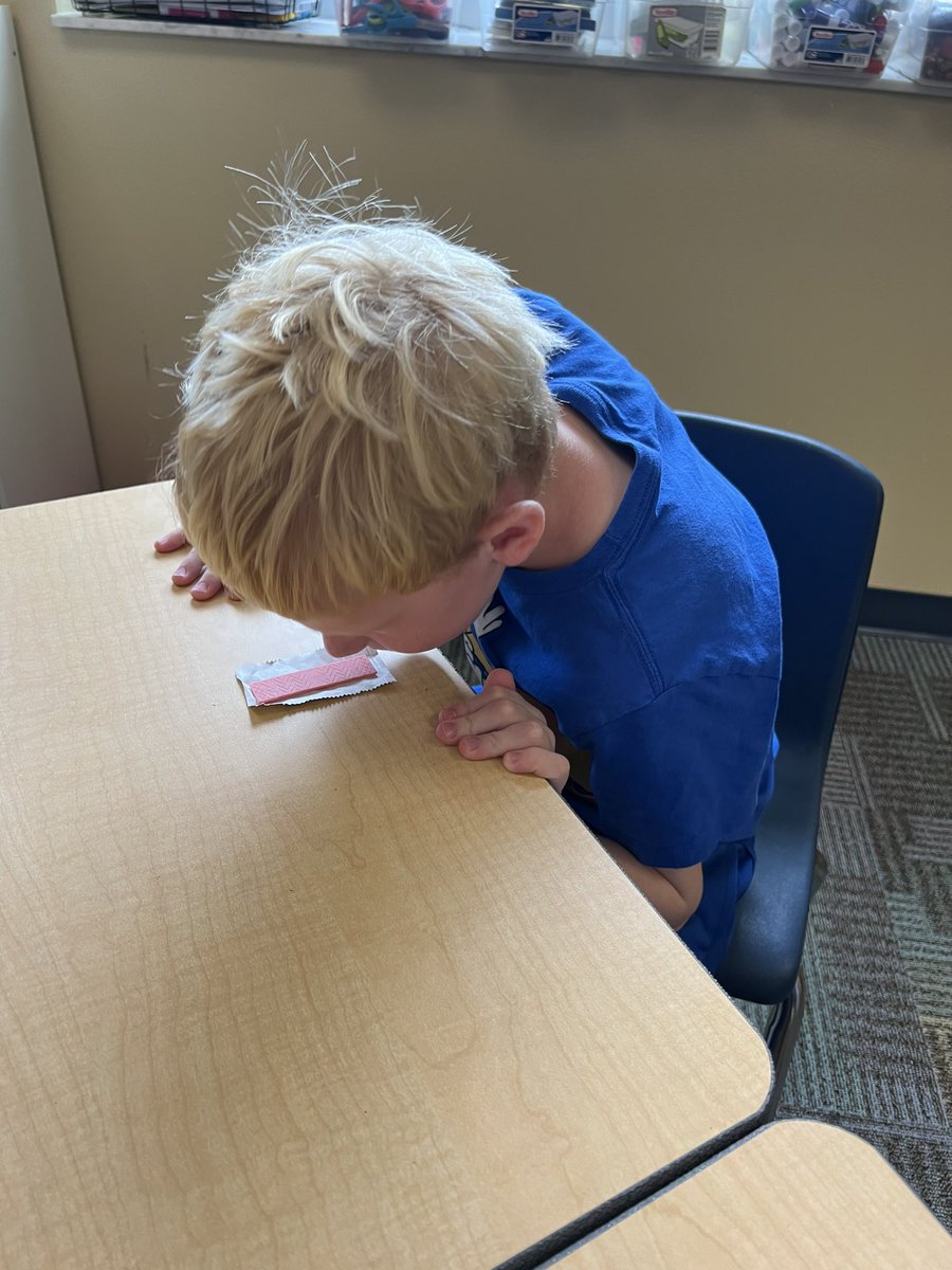 Katie Schwartz tweet media