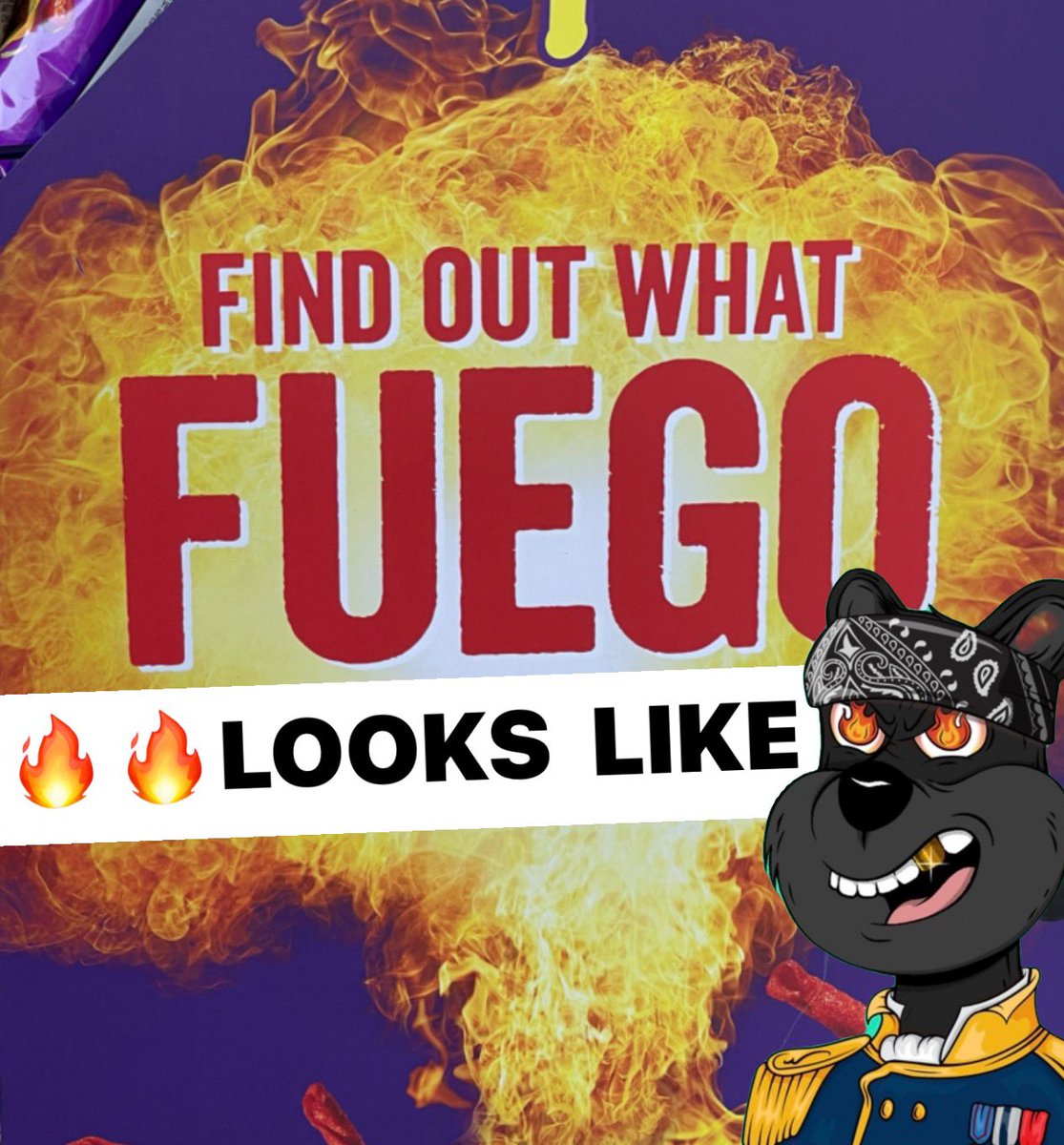 🔥🔥🔥Taking Monday on like this guy!  #TribeQuokka #TribeUp #letsquokkingo #Crypto #NFTs #BAYC @Dick_Doofus <a href="/violettazironi/"></a> <a href="/TribeQuokka/">Tribe Quokka</a>