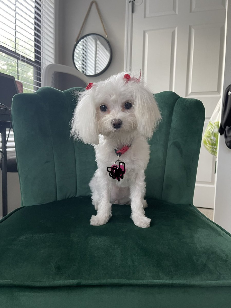KrystalSmith__'s tweet photo. I’m not one to brag, but I think I have the cutest coworker 🥰 https://t.co/d2Ug6cQQXt