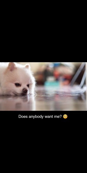 🥺 https://t.co/zOb4Uo1GMP