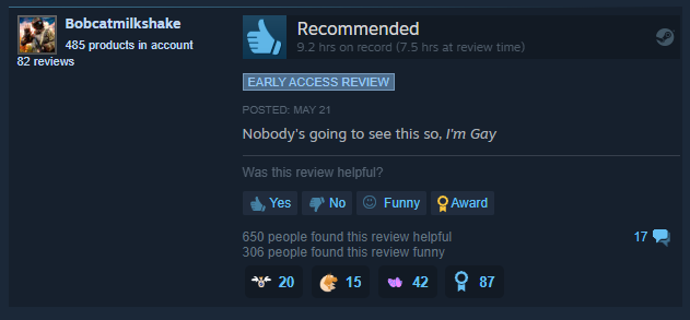 ayo shout out to this man in the steam reviews