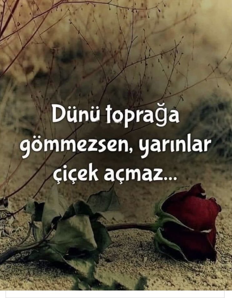 guler ortunc (@gulerortunc) on Twitter photo 