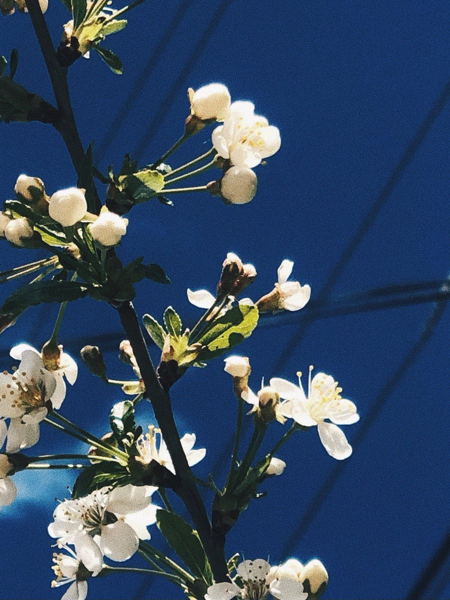 † мЫслитель † tweet media