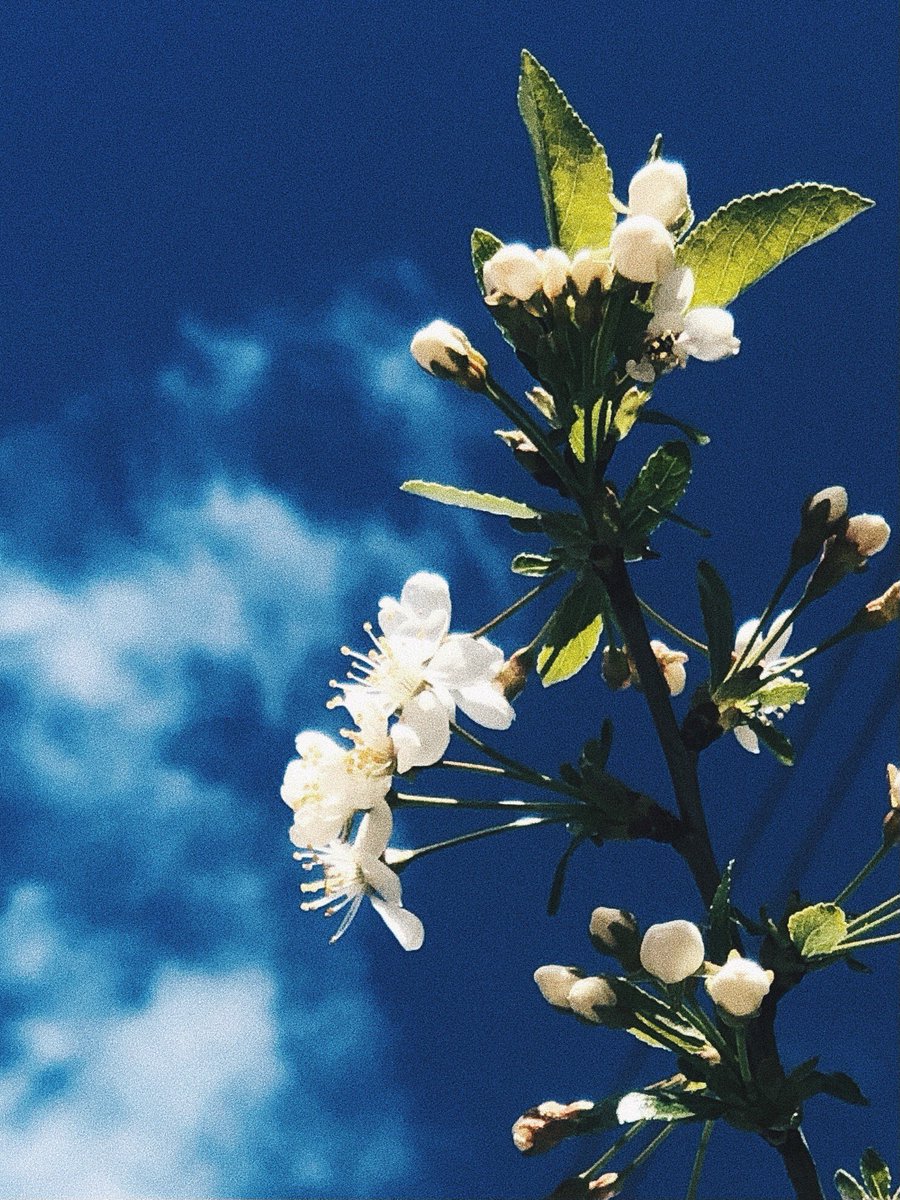 † мЫслитель † tweet media