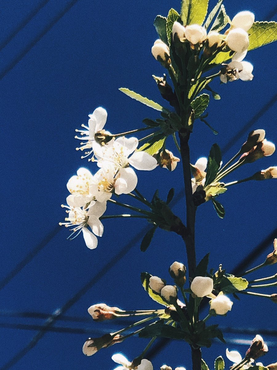 † мЫслитель † tweet media