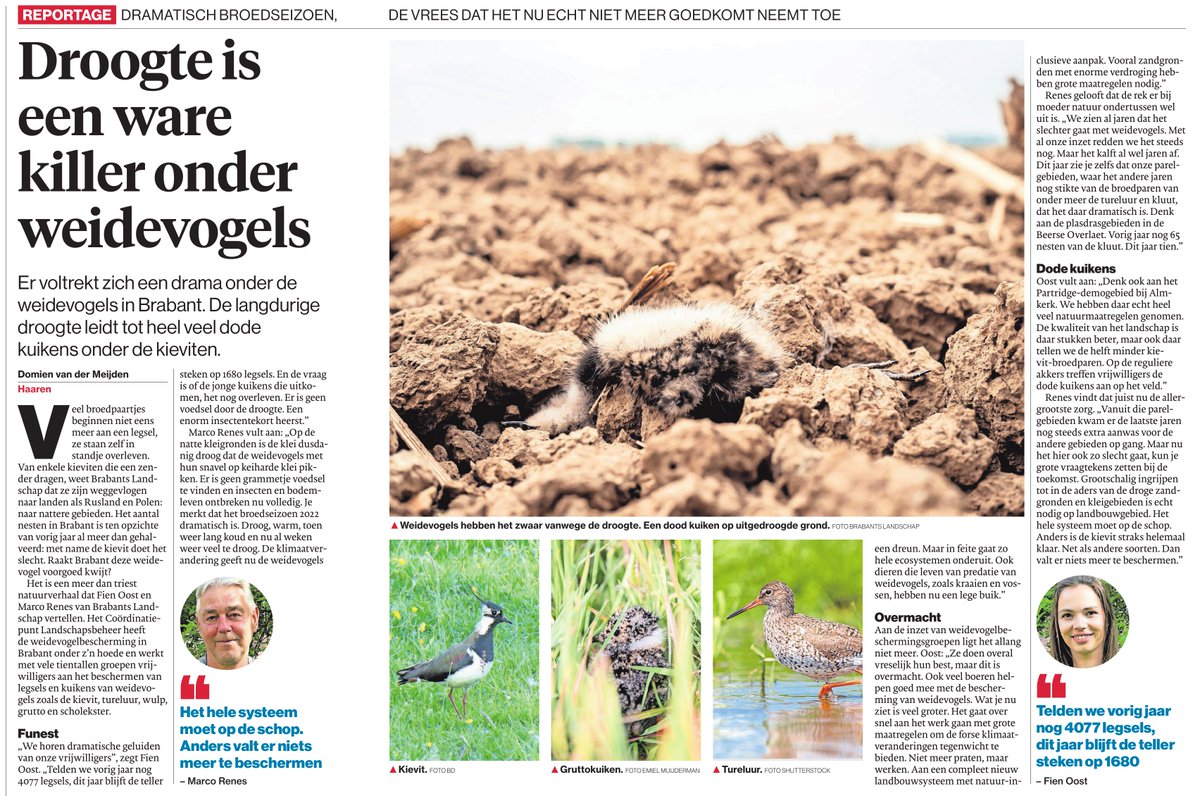 Jochem Sloothaak tweet media