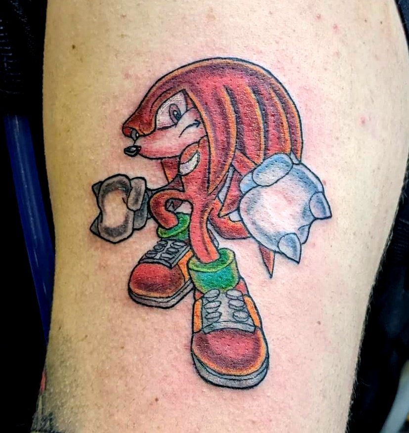 Knuckles The Echidna  FullArt by Tails19950 on DeviantArt  Echidna Big  the cat Sonic funny