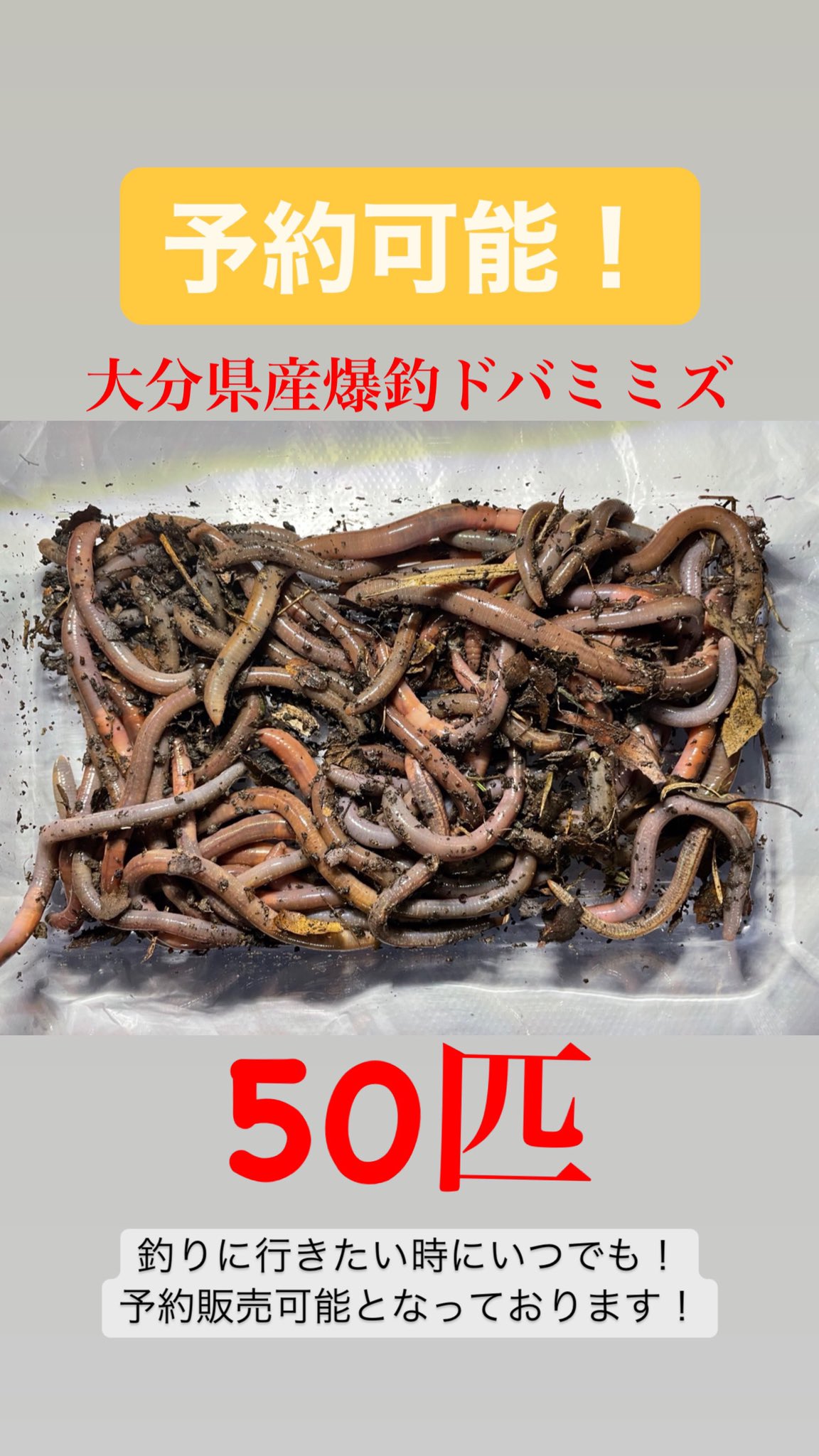 ルンバ社長 ドバミミズ掘りプロ Runbaceo Office Twitter