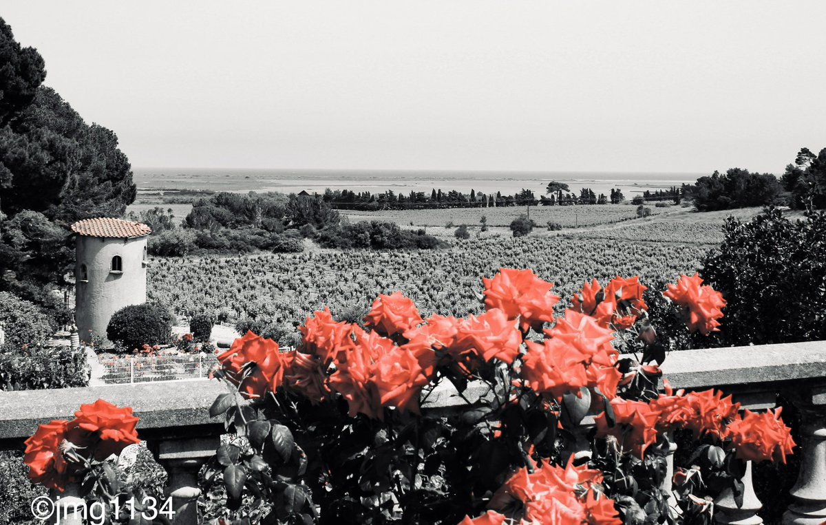 jmg1134's tweet photo. Superbe vue depuis le Château de la Négly #Aude #Audetourisme #Clape #Vins #Photography #Fleurydaude https://t.co/i7jIyvRBNi