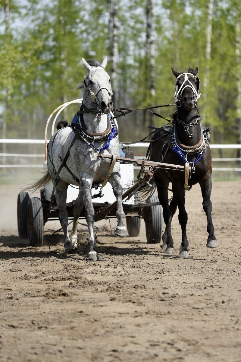 Wayne Knight Racing tweet media