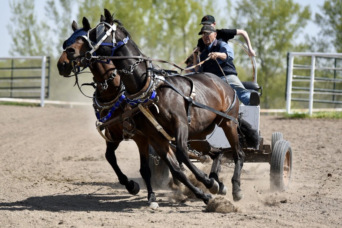 Wayne Knight Racing tweet media