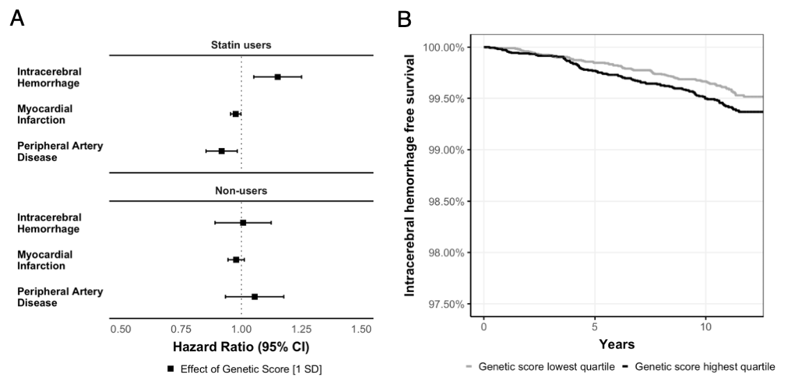 Have a look at our Mendelian randomization study exploring the effects of genetically predicted on-statin LDL response on risk of ICH that just came out in <a href="/Brain1878/">Brain</a> <a href="/emayerho/">Ernst Mayerhofer</a> <a href="/CDAndersonMD/">Chris Anderson</a> @rainermpg <a href="/stevesphd/">Stephen Burgess</a> <a href="/CGM_MGH/">CGM at MGH</a> <a href="/broadinstitute/">Broad Institute</a> <a href="/MGHBrainHealth/">McCance Center for Brain Health at MGH</a> 

academic.oup.com/brain/advance-…