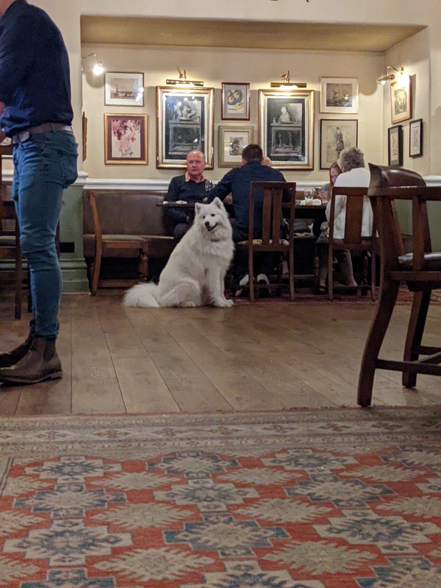 liamporter92's tweet photo. Well the first four pages of Paradais by Fernanda Melchor are INCREDIBLE. Almost as incredible as this absolute cloud who kept clocking me. And almost as great as a solo Monday evening pale ale next to an open fire. https://t.co/UpljJGCjMx