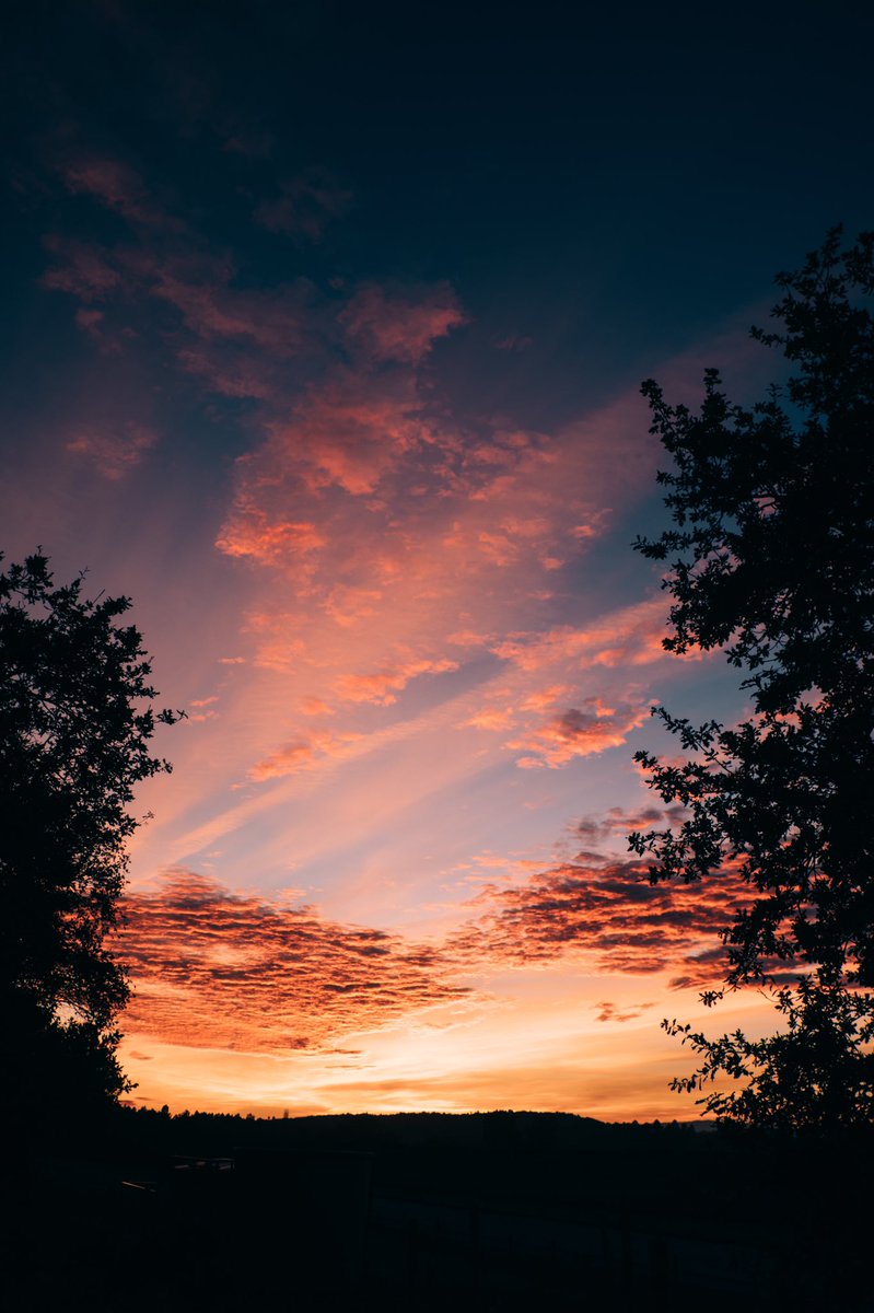 GM , Sunset #photooftheday