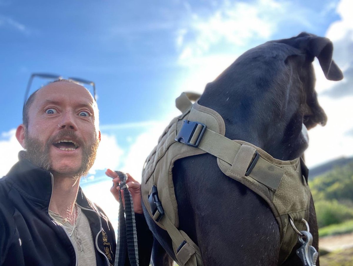 mrhodga's tweet photo. Magnus Gem McDragon and me. A #WeeThread #MyDaneAndI #GreatDanes Part 2
Taking in time to sit on the rocks and just chill out as people and dogs walked by; a great training session for the Scoobster #GreatDane #GreatDaneTraining #ScoobyDoDog #Scotland #Innellan https://t.co/7pfP9BYkD5