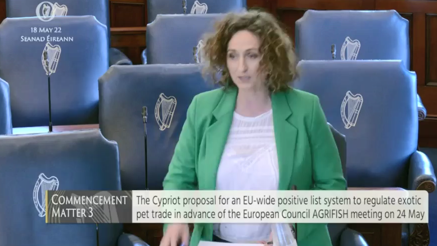 banbloodsports's tweet photo. โIreland has a completely lax system when it comes to exotic animalsโ: Senator Lynn Boylan (Sinn Fรฉin) has asked what the government plans to do to regulate exotic pets โข "They experience extreme stress, boredom & depression and severe behavioural issues" https://t.co/SPNwoZDSpH https://t.co/cGU8zApg4I