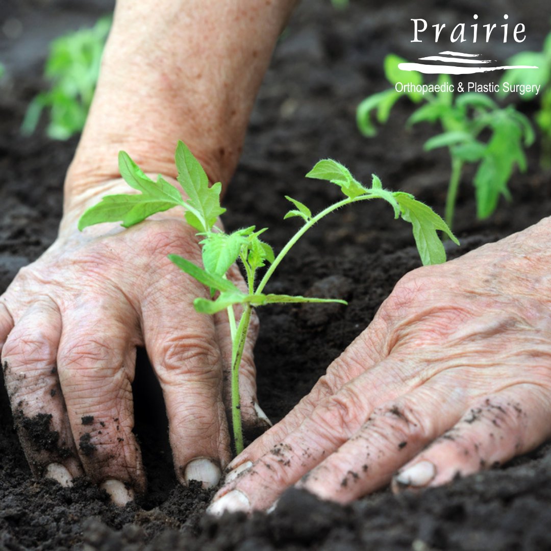 PrairieOrthoLNK's tweet photo. Planting season can be rough on your body. If you're feeling any stiffness or pain from this year's hard work, be sure to schedule an appointment with us. We're here to help you get moving again! https://t.co/M6T8qkk91u https://t.co/stO4cXfTsy