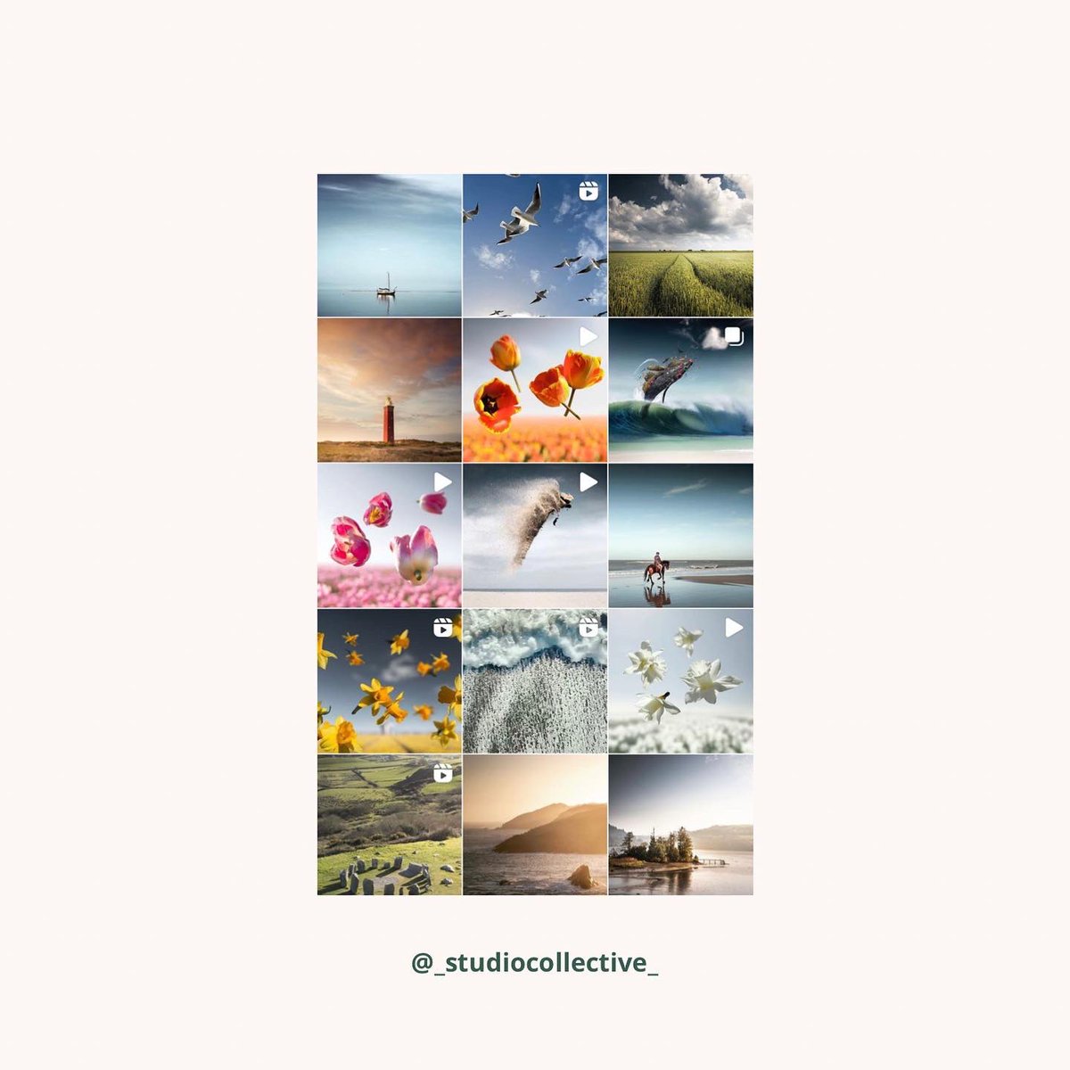 studiocollect1v's tweet photo. Some of our favourite photography artists in the NFT space 👀

@claireonline 
@synchrodogs 
“Feebelli”
“Aim.Os”

#NFTCommunity #NFTProject #NFTphotographers #photography https://t.co/dMgH2f1XLs
