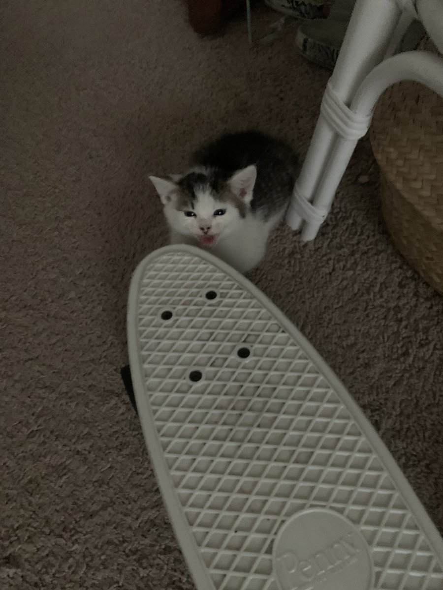 jess (@jessfrengut) on Twitter photo 