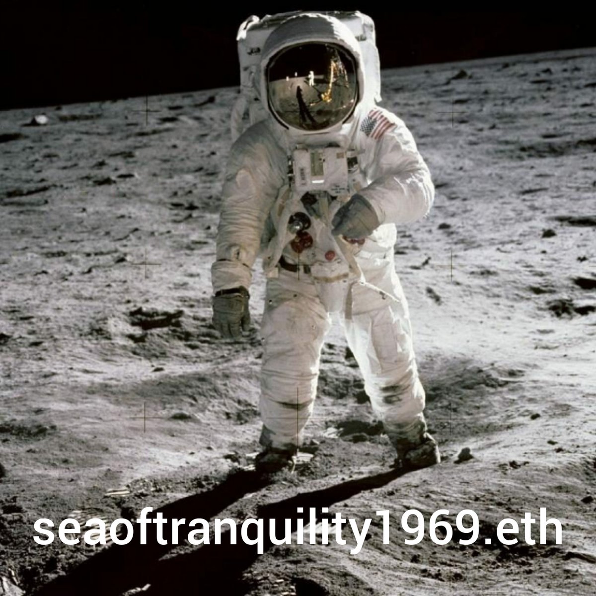 HistoryENS's tweet photo. Own a piece of history in #web3

Join the #historyens society 

#history #ensdomains #nft #NFTCommunity #opensea https://t.co/8VxCxic4Dw
