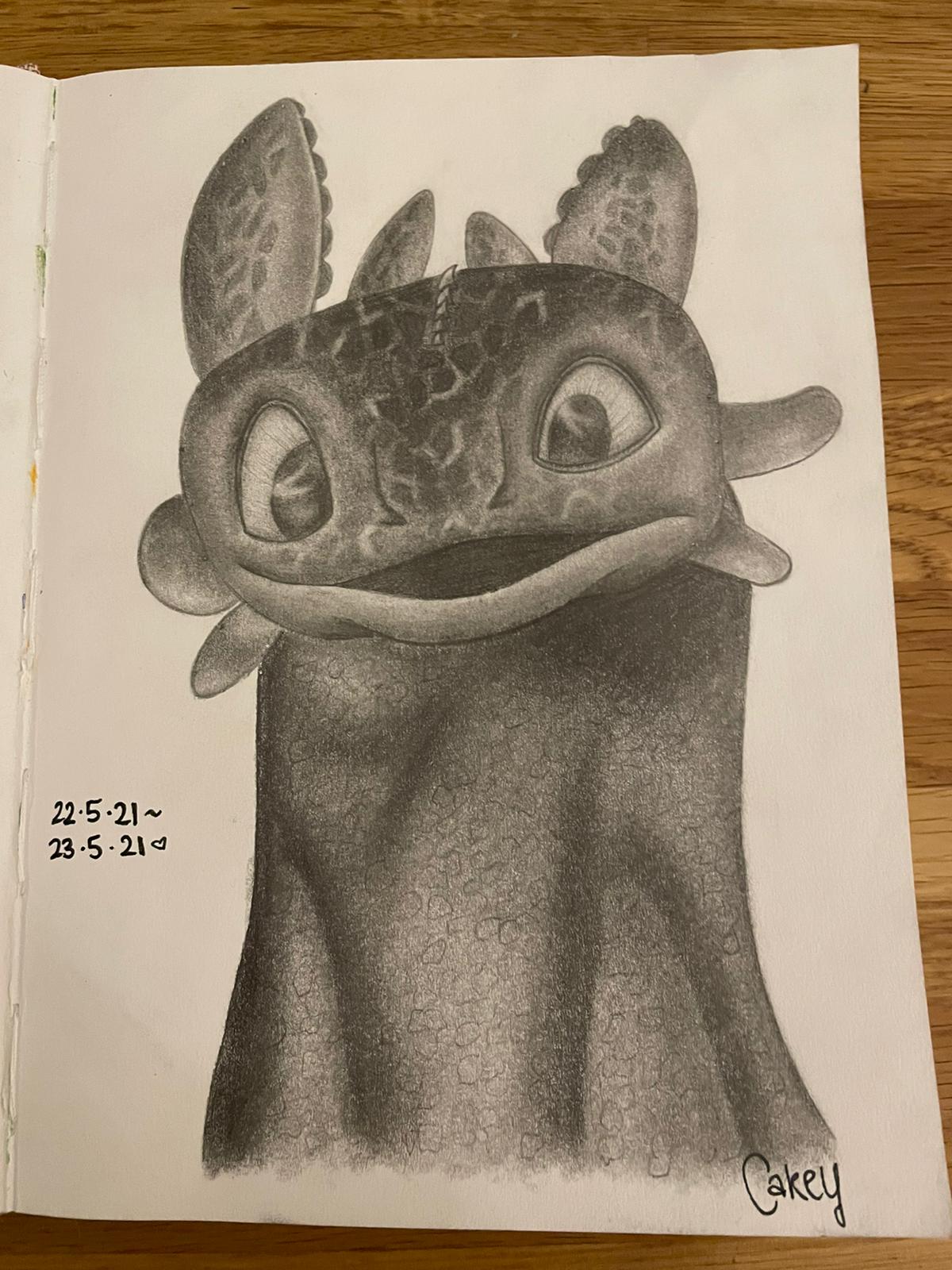 Toothless Smile Drawing