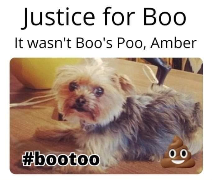 Redneckray86's tweet photo. #bootoo https://t.co/enfIJkz81I