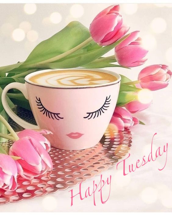 GingersAvonShop's tweet photo. Good Morning and Happy Tuesday, Friends!  #goodmorning #goodmorningeveryone #goodmorningtwitterworld #happytuesday #tuesdayfeeling #tuesdayvibe #tuesdaymotivation #teatime https://t.co/G56stByRSi