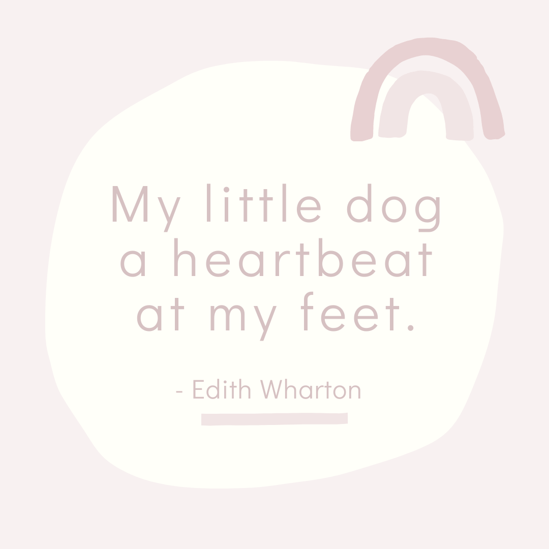 wowiedogs's tweet photo. Can't say enough about the love of our little dogs!! 💕 🐶 🥰

#doglove #gooddog #quotes #wowiedogs⁠ https://t.co/dZcviwJoSl