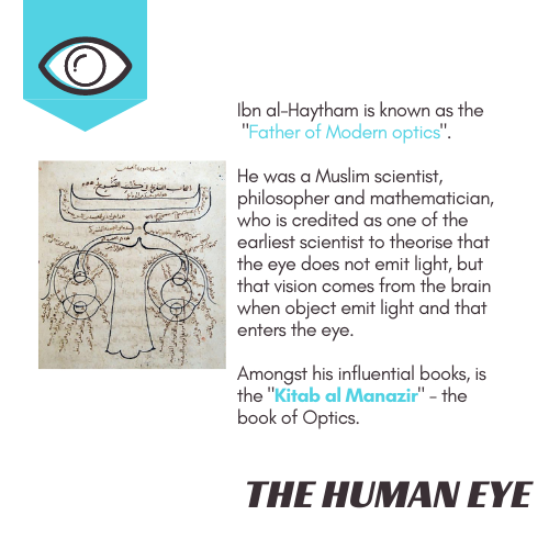 AMRALajna's tweet photo. We know that the eye is a complex organ, here is a brief what and why on the intricacy of the eye and some of it's key features.
#eye #AMRA #research #whatandwhy #cornea #Muslim #scientists https://t.co/Y4Nbc75IU2