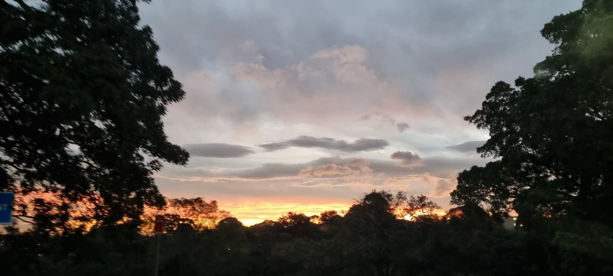 CherScheff's tweet photo. Clouds at sunset time.
#Sydneyskies
#Mayclouds https://t.co/5eCiCAI3ZK