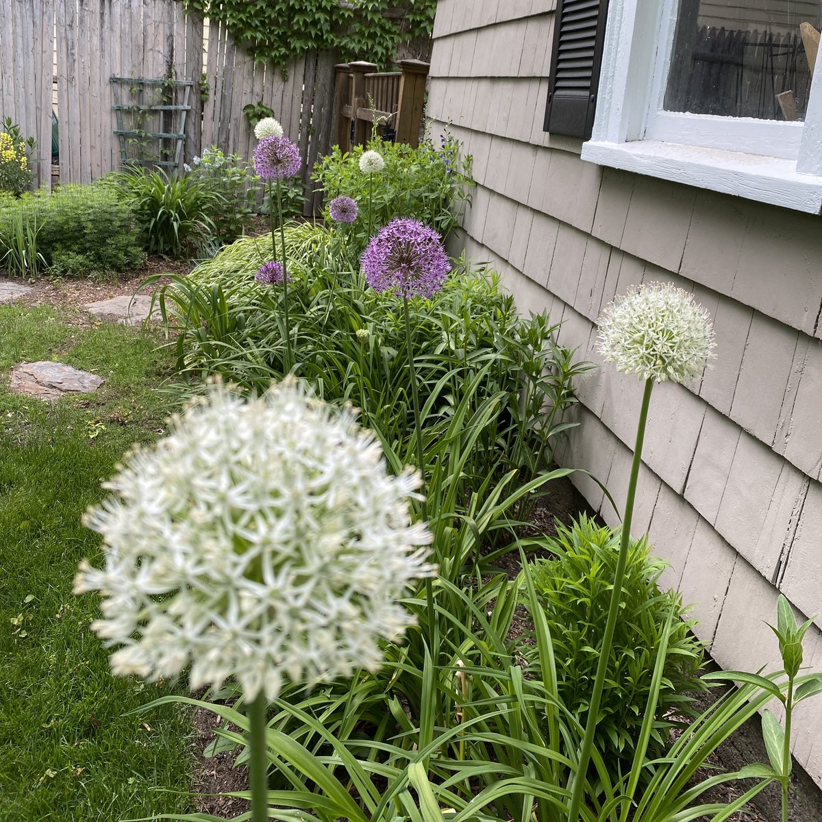 Joe Waters 😈😇 tweet media