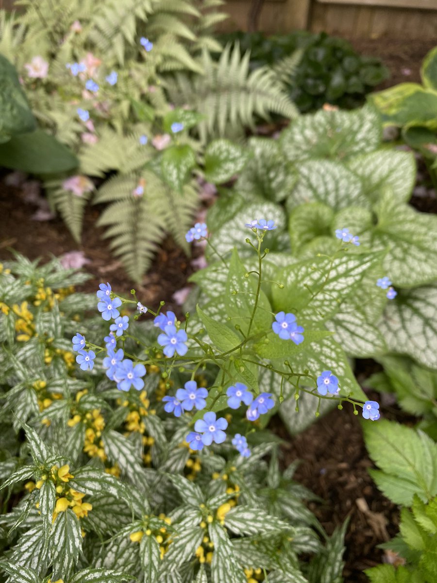 Joe Waters 😈😇 tweet media