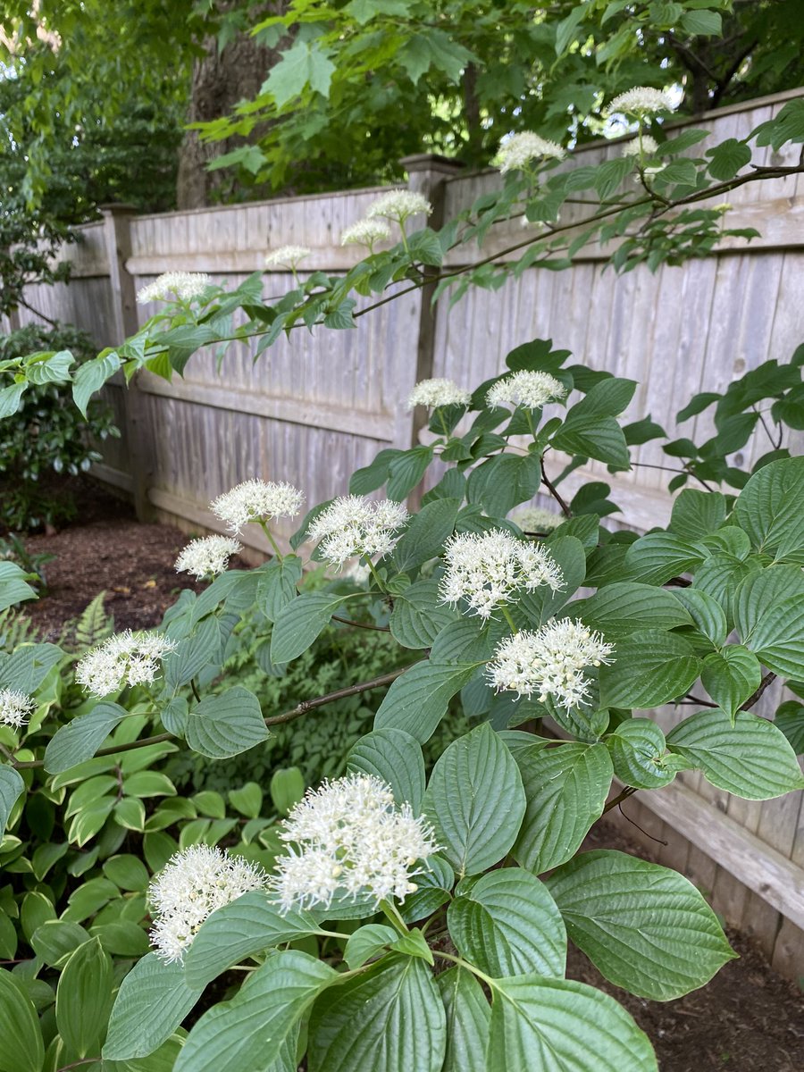 Joe Waters 😈😇 tweet media