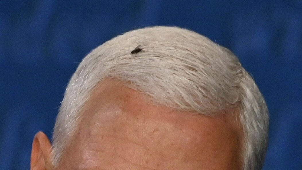 So far Mike Pence has one endorsement for 2024. 🪰