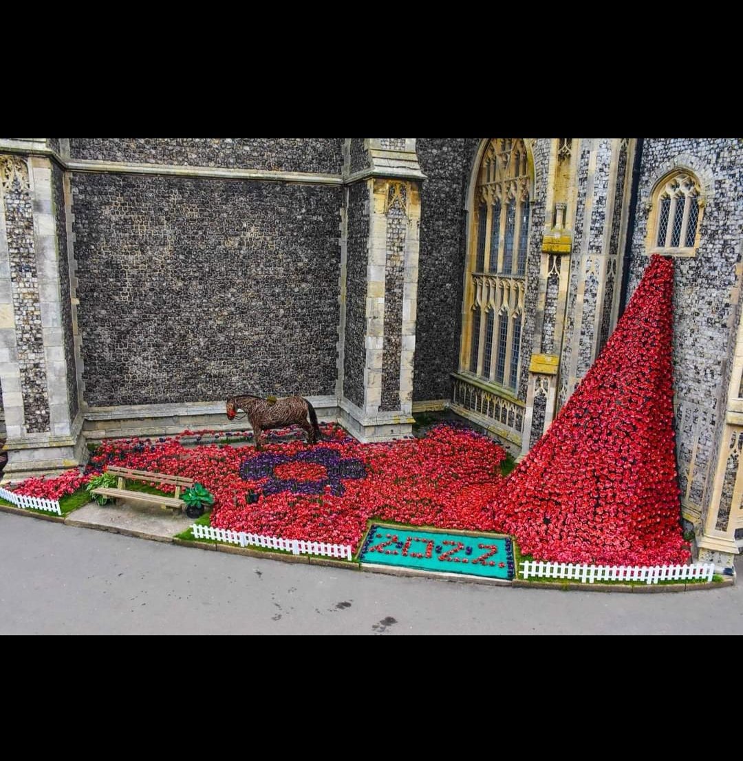 Norfolk Loo Lady tweet media