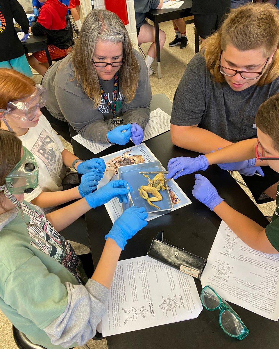 MissBorsani's tweet image. Frog dissections!!! 🐸 We had so much fun joining the 6th graders in dissections - thank you for letting us join!
