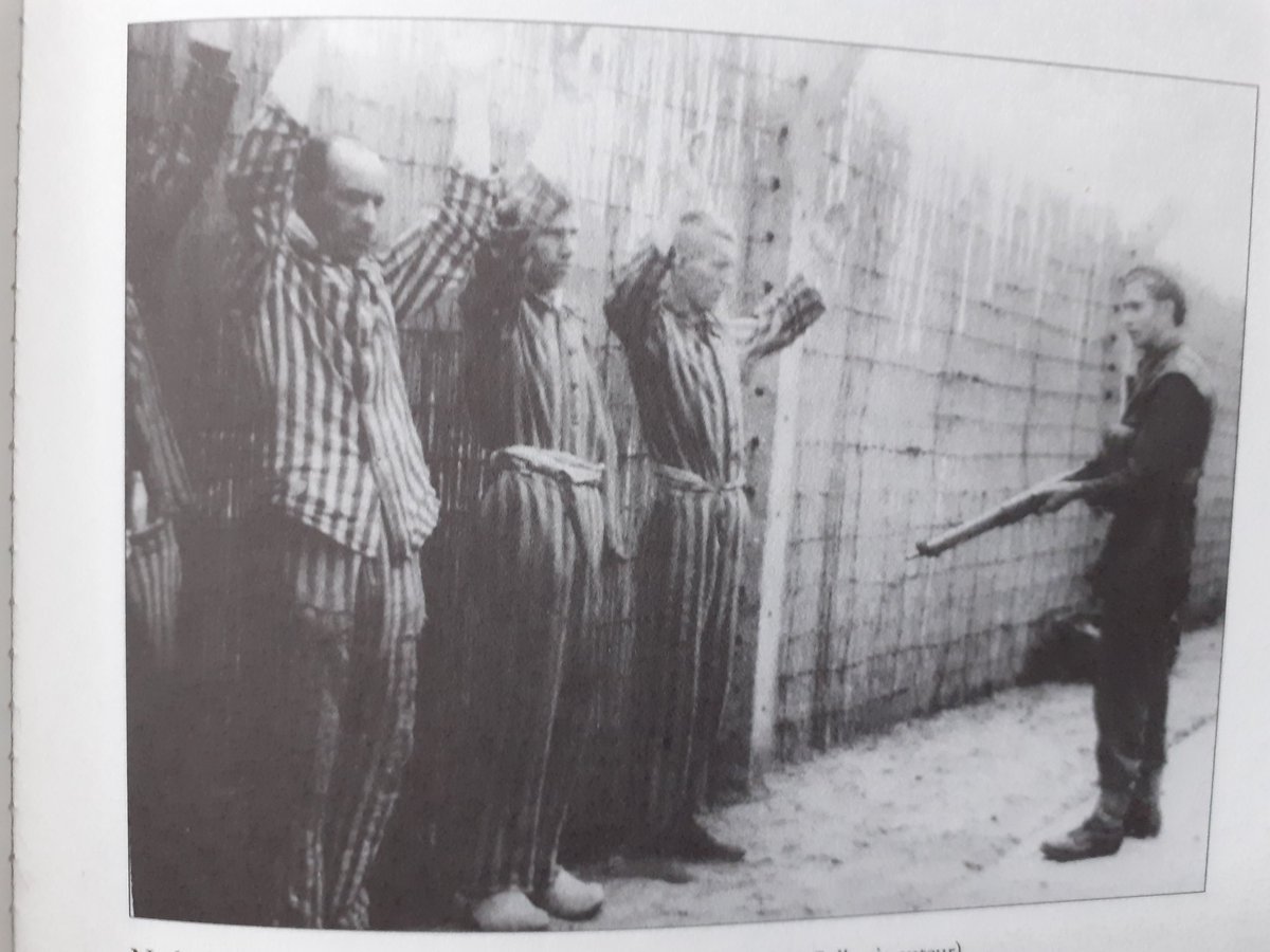 KritiekN's tweet photo. @Gerard1945X @magnifique48 @RoelofBouwman @JoostNiemoller oppakken die Timmermans and against the wall ! https://t.co/B4KKAZSNqn