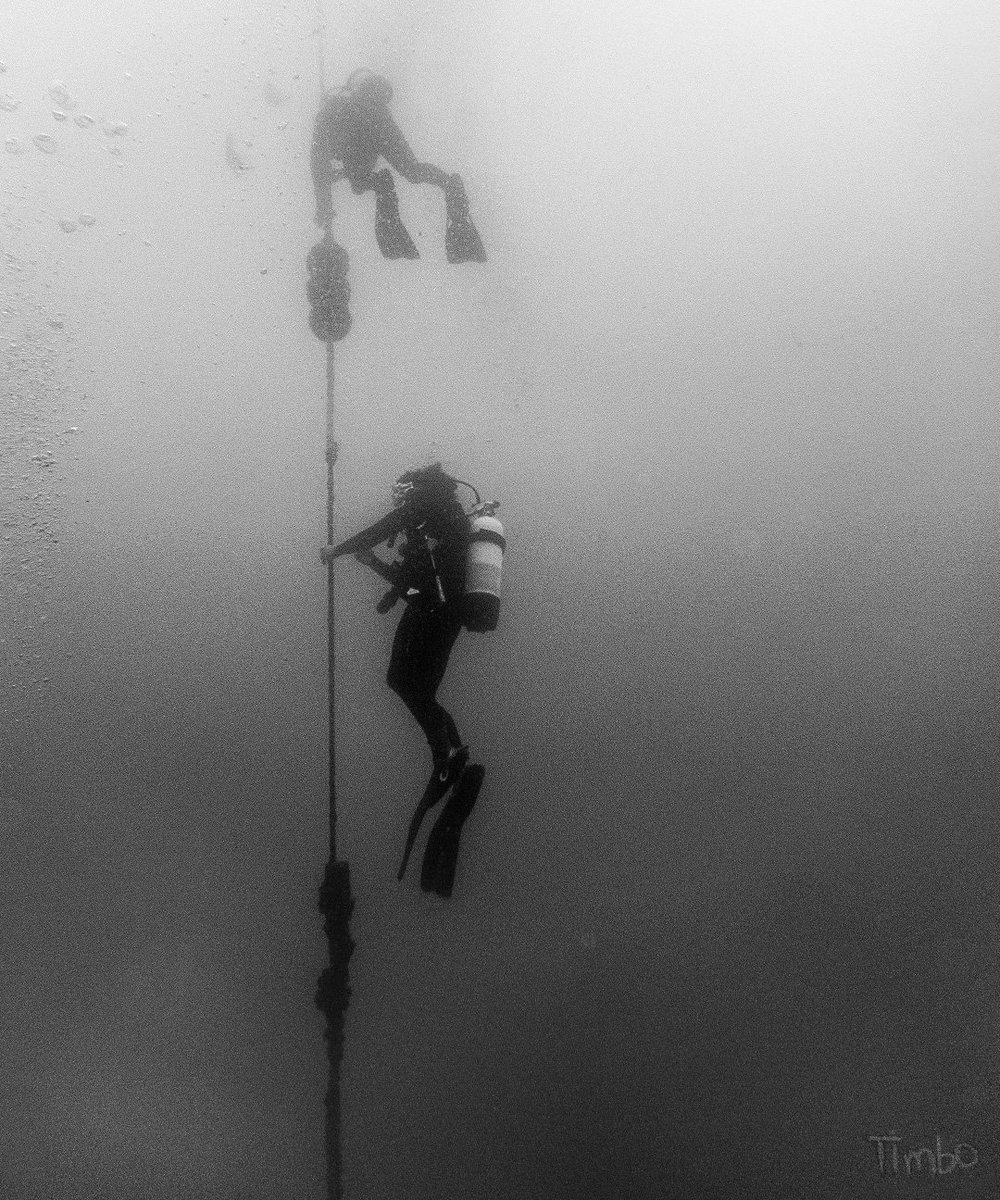 Heaven below ⬇️

#scubadiving #scuba