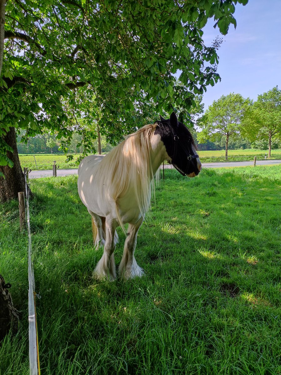 Birde farklılık olsun